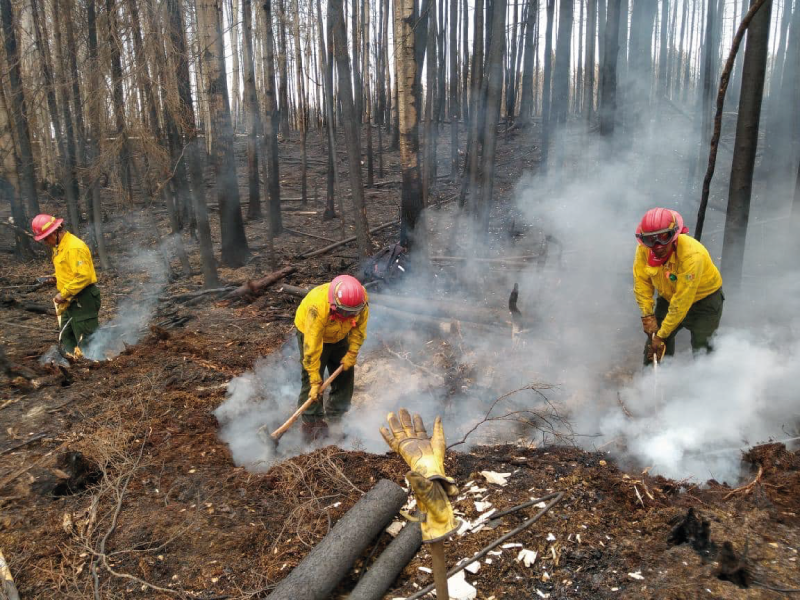 Conoce que actividades realizan nuestros bomberos forestales, durante y después de un incendio.